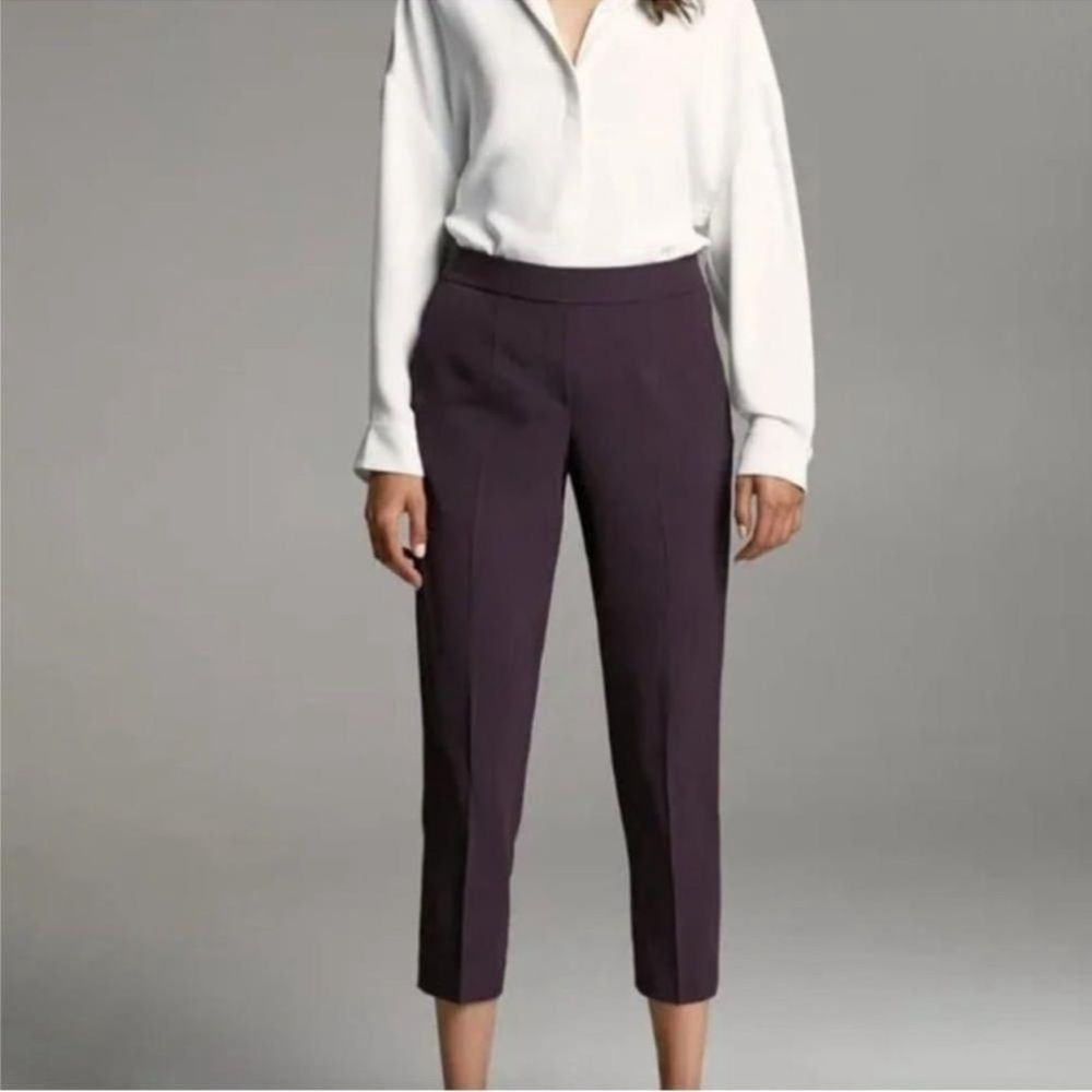 Babaton: cohen Pant